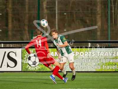 JT102036-07032026-6000-x-4000