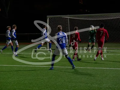 JT100668-23012026-6000-x-4000