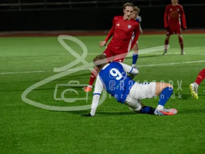 JT109933-23012026-6000-x-4000