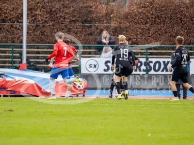 JT104018-15032026-6000-x-4000