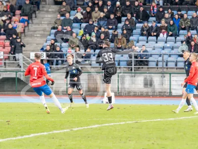 JT104896-15032026-6000-x-4000