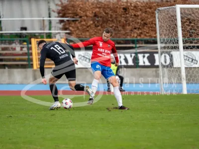 JT104954-15032026-6000-x-4000